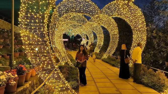 munnar botanical garden night view